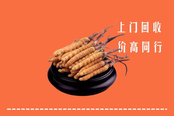 高价求购：湖州回收散虫草