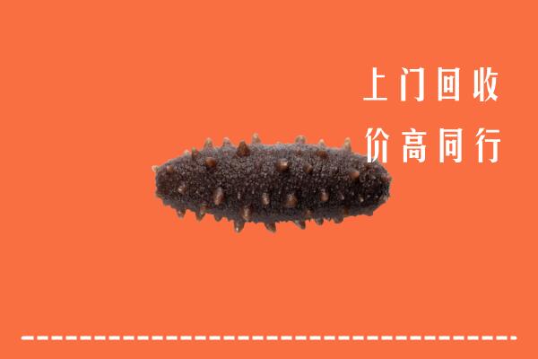 湖州回收海参