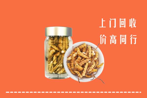 湖州回收冬虫夏草