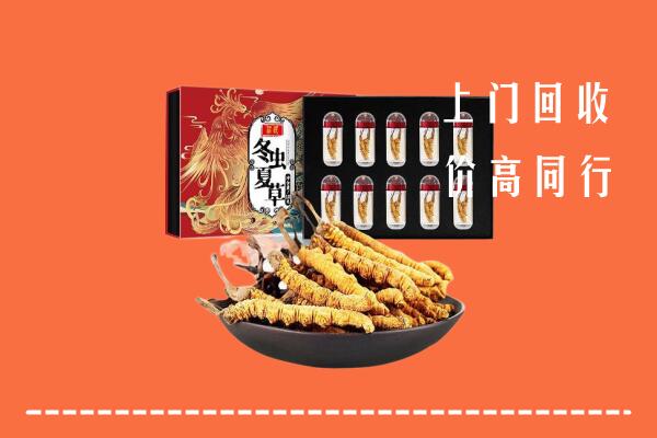 湖州回收虫草
